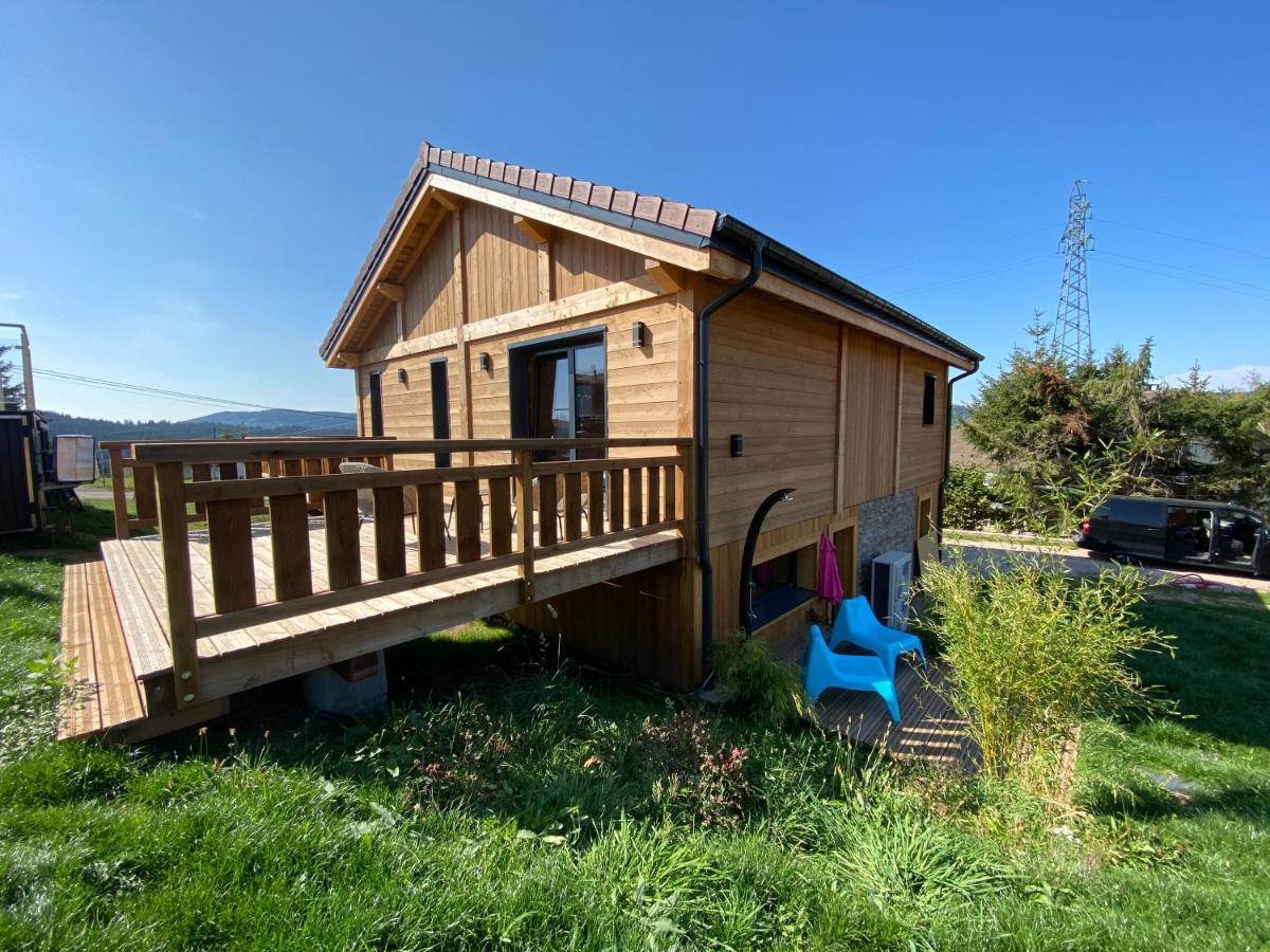L'Adret Du Temps Chalet 10 Personnes 170M2 Gérardmer Exteriér fotografie