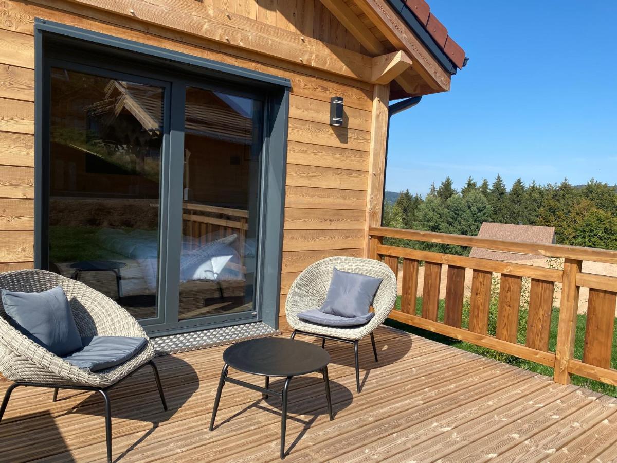 L'Adret Du Temps Chalet 10 Personnes 170M2 Gérardmer Exteriér fotografie